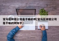 宝马区块链公司是干嘛的啊[宝马区块链公司是干嘛的啊知乎]